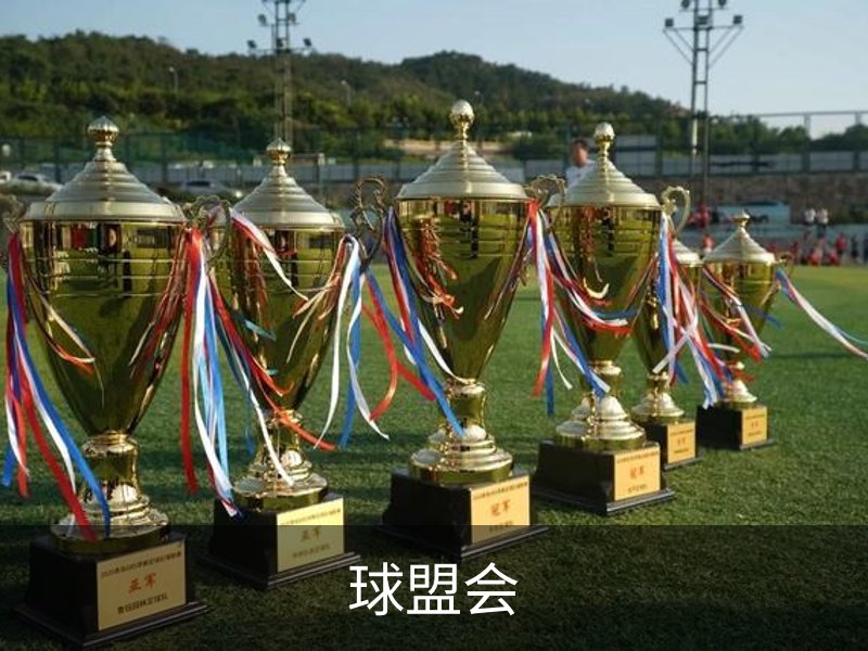 关于球盟会